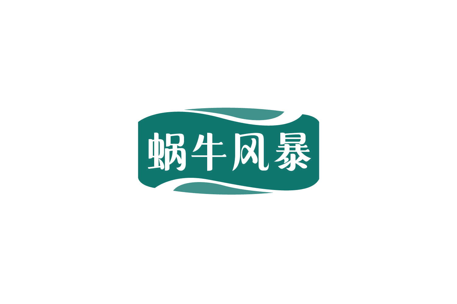 蜗牛风暴 第16类办公用品 注册号79094122商标图样