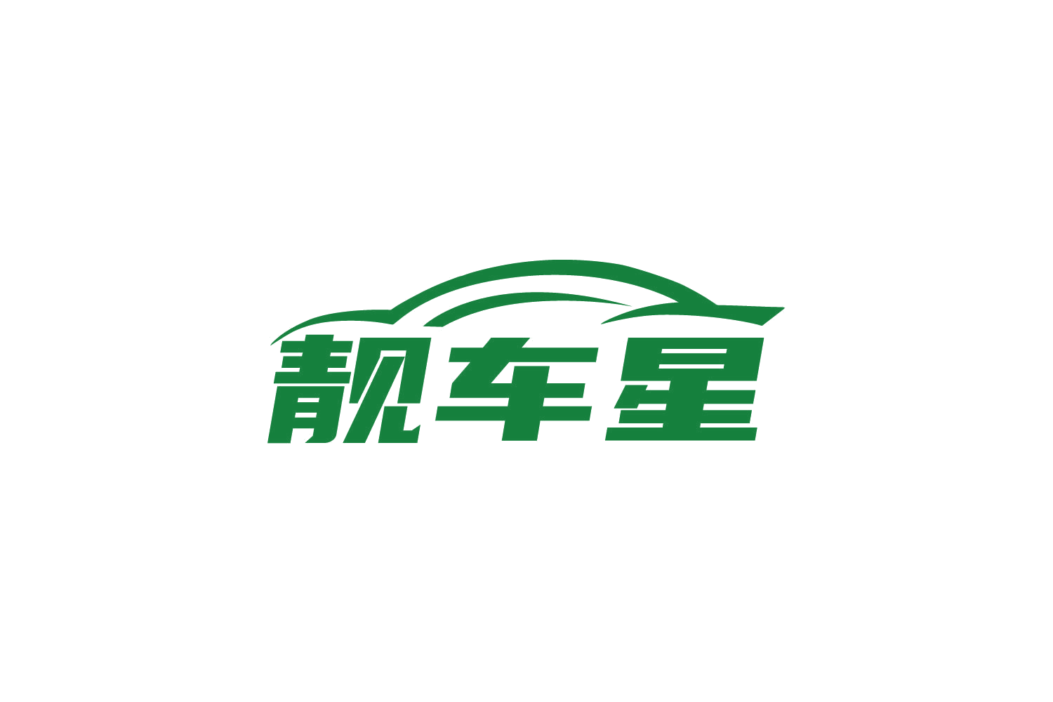 靓车星 第17类橡胶制品 注册号79140313商标图样