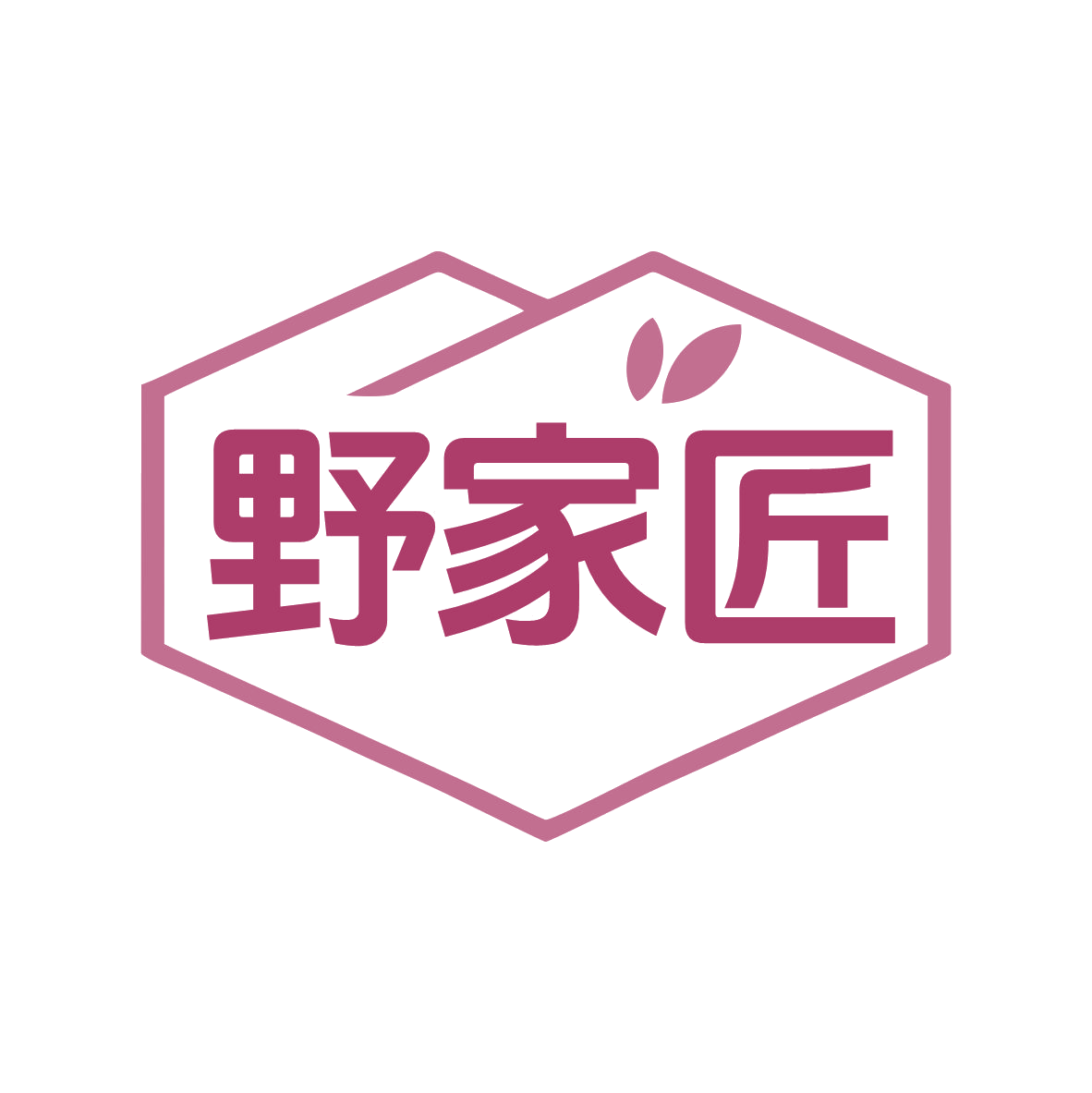 野家匠 第20类家具 注册号79282511商标图样