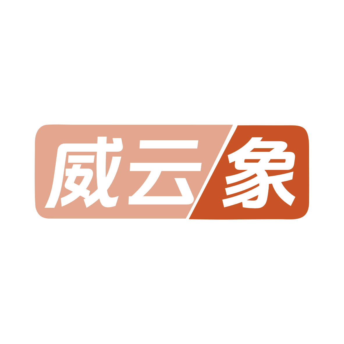 威云象 第9类科学仪器 注册号79287993商标图样
