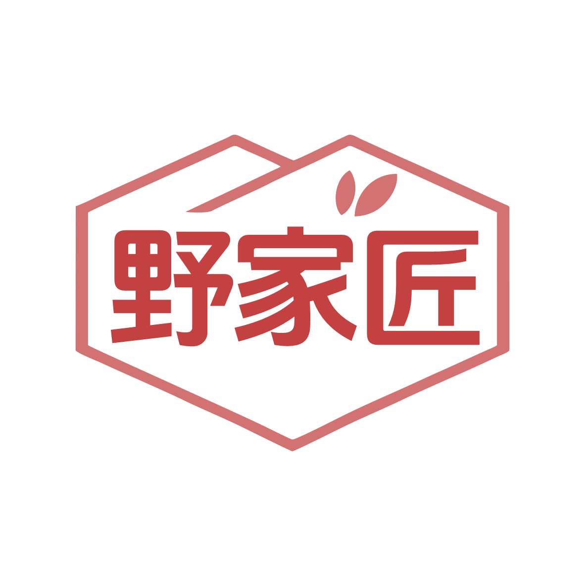 野家匠 第35类广告销售 注册号79294196商标图样