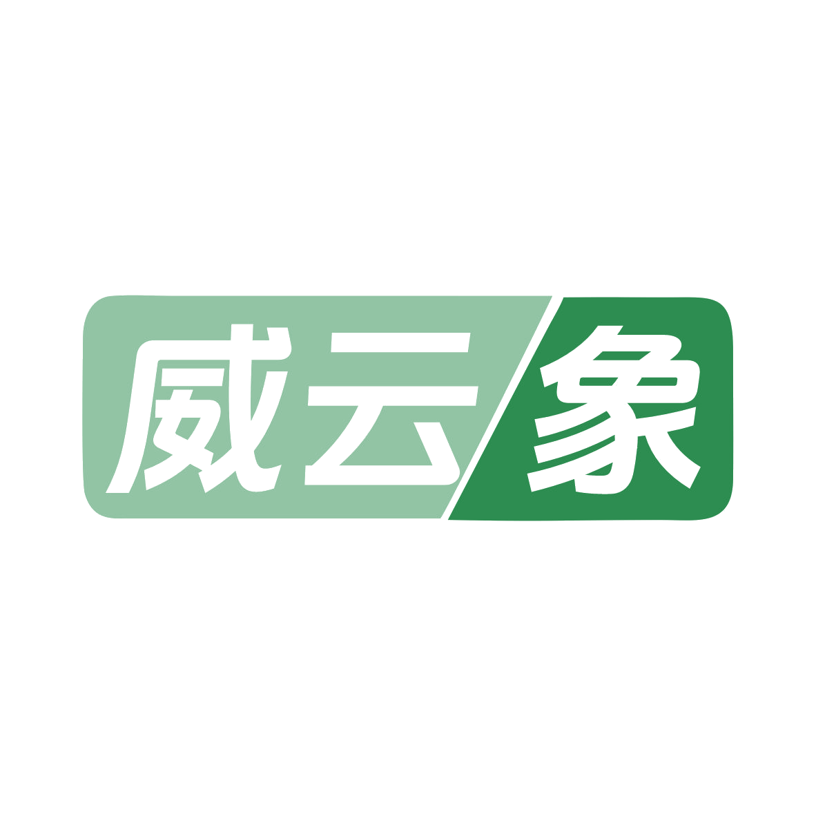 威云象 第42类科技服务 注册号79294408商标图样