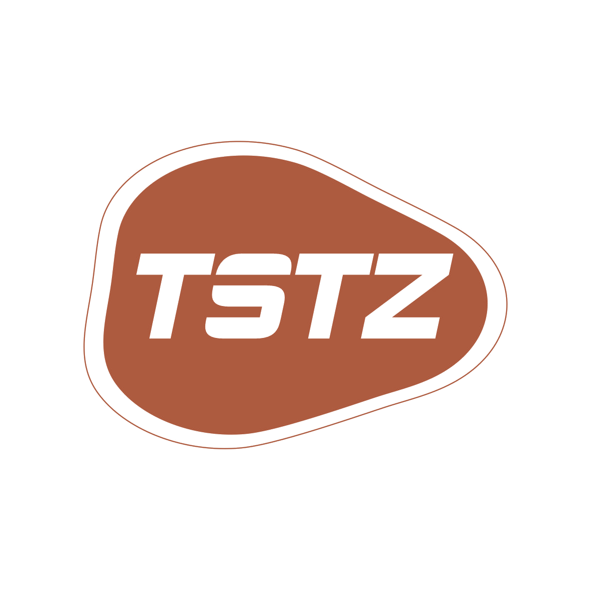TSTZ 第9类科学仪器 注册号79516851商标图样