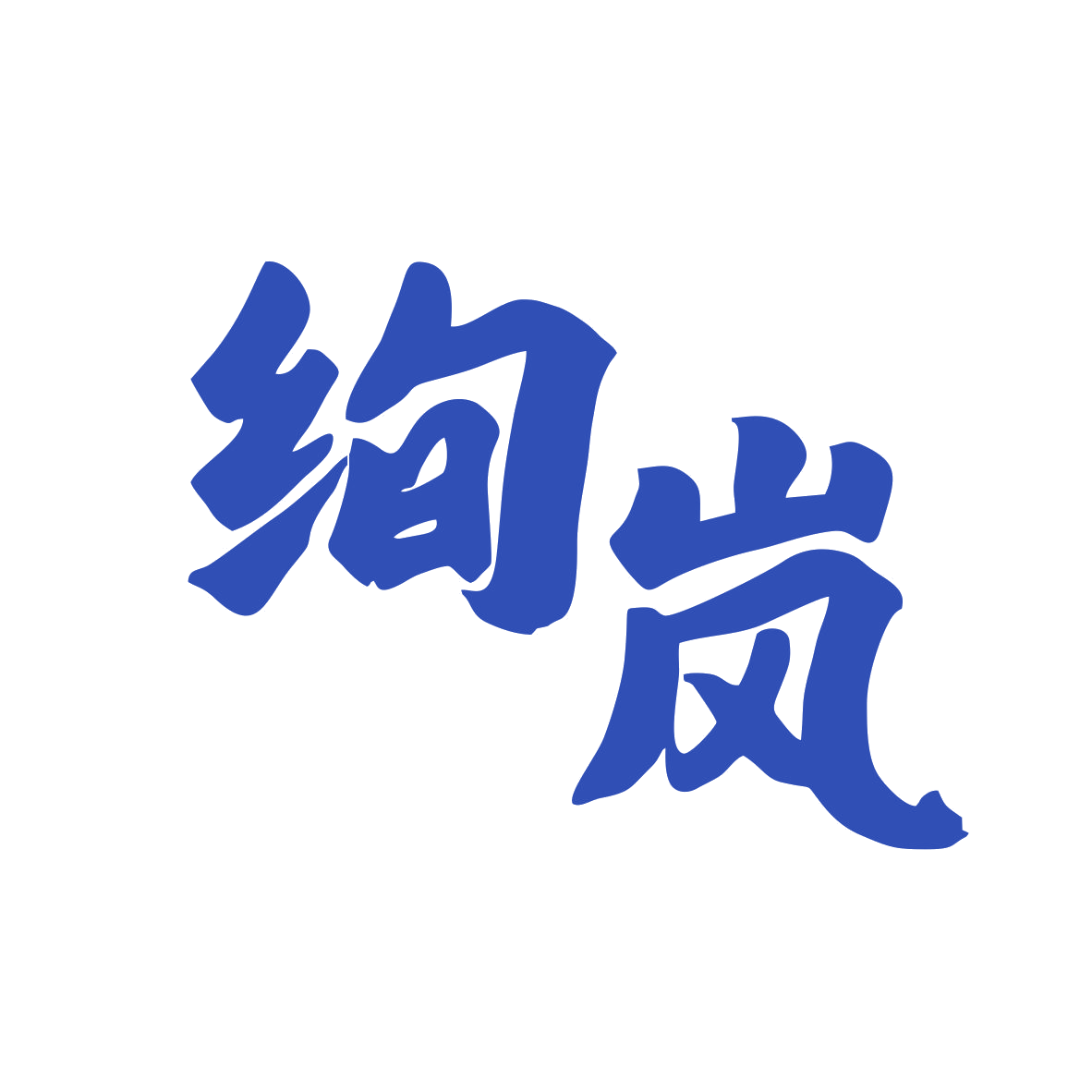 绚岚 第9类科学仪器 注册号79566209商标图样