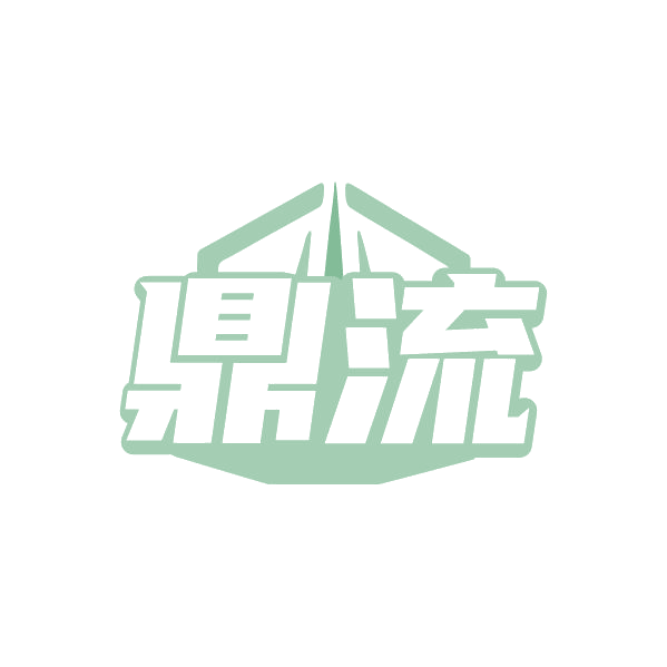 鼎流 第22类绳网袋篷 注册号79688396商标图样