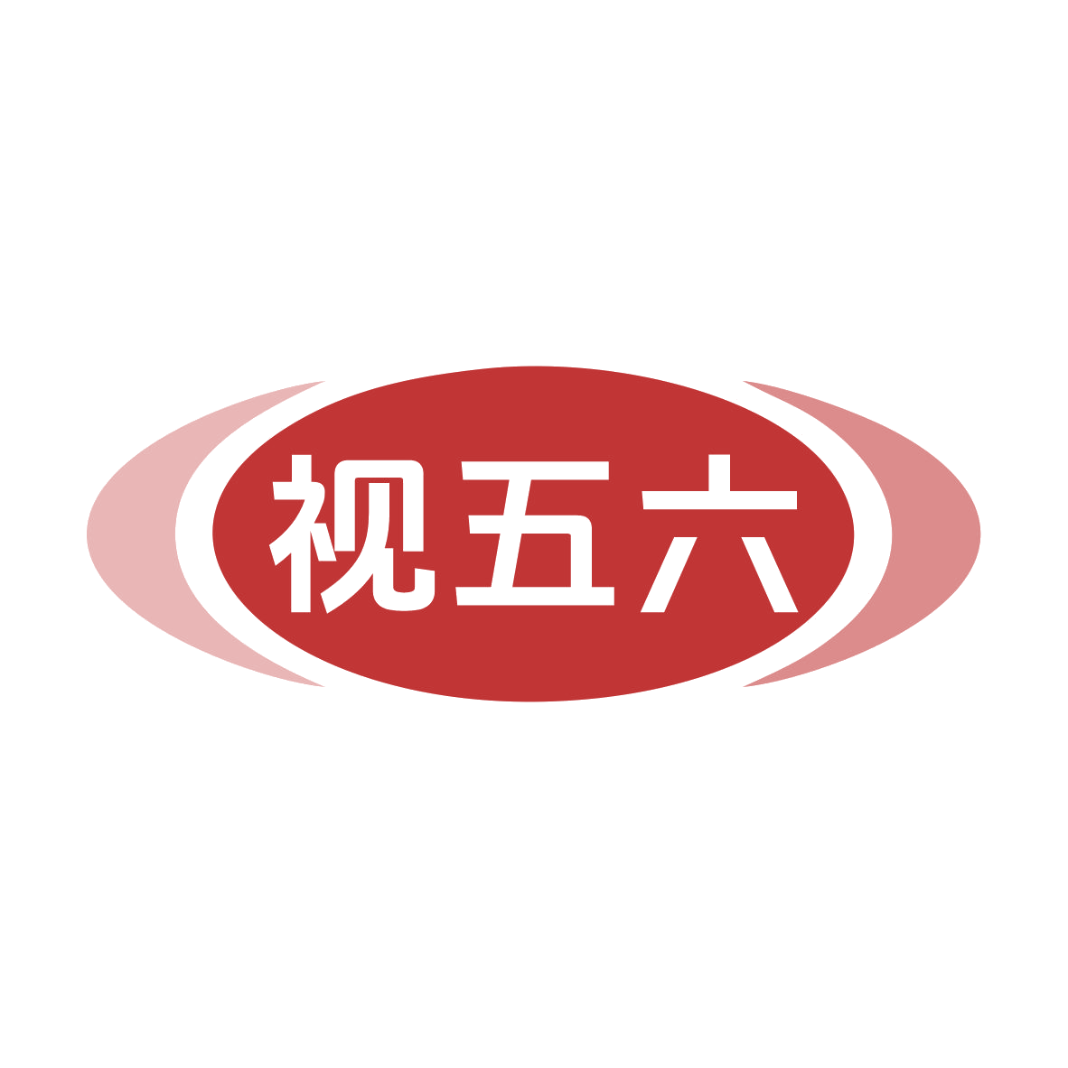 视五六 第45类社会服务 注册号79814813商标图样