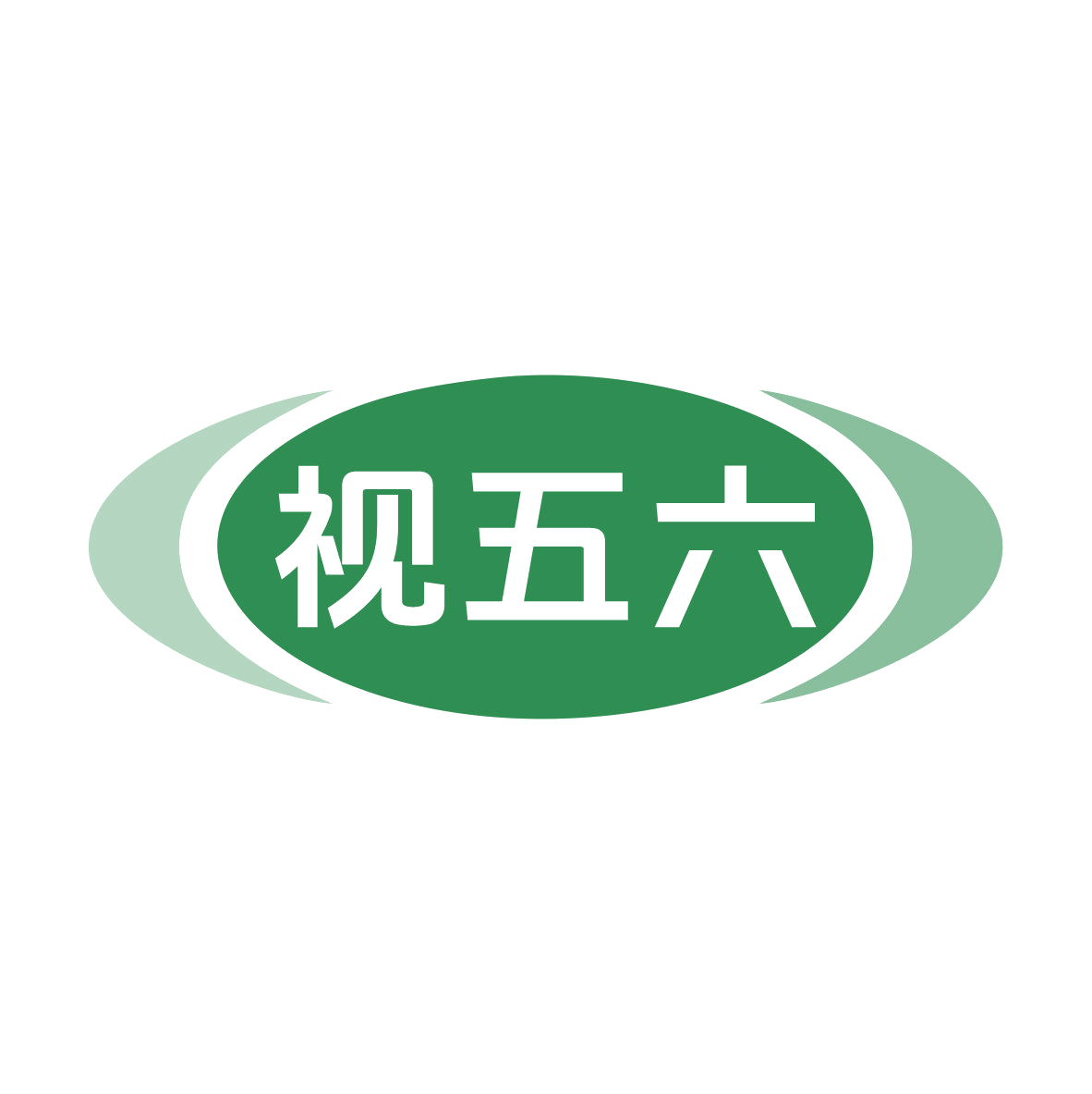 视五六 第35类广告销售 注册号79817677商标图样