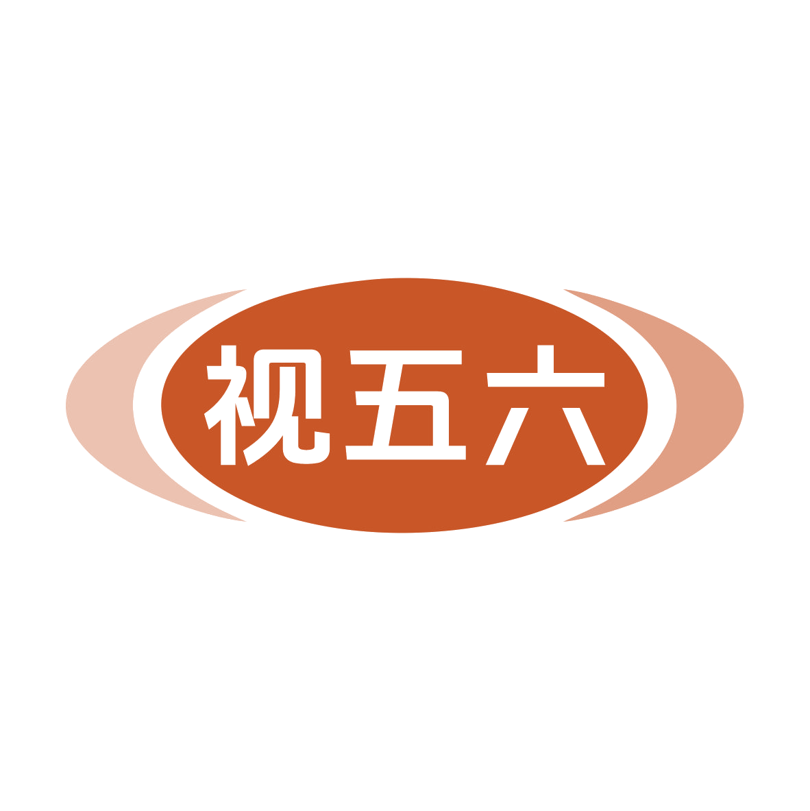 视五六 第38类通讯服务 注册号79820151商标图样