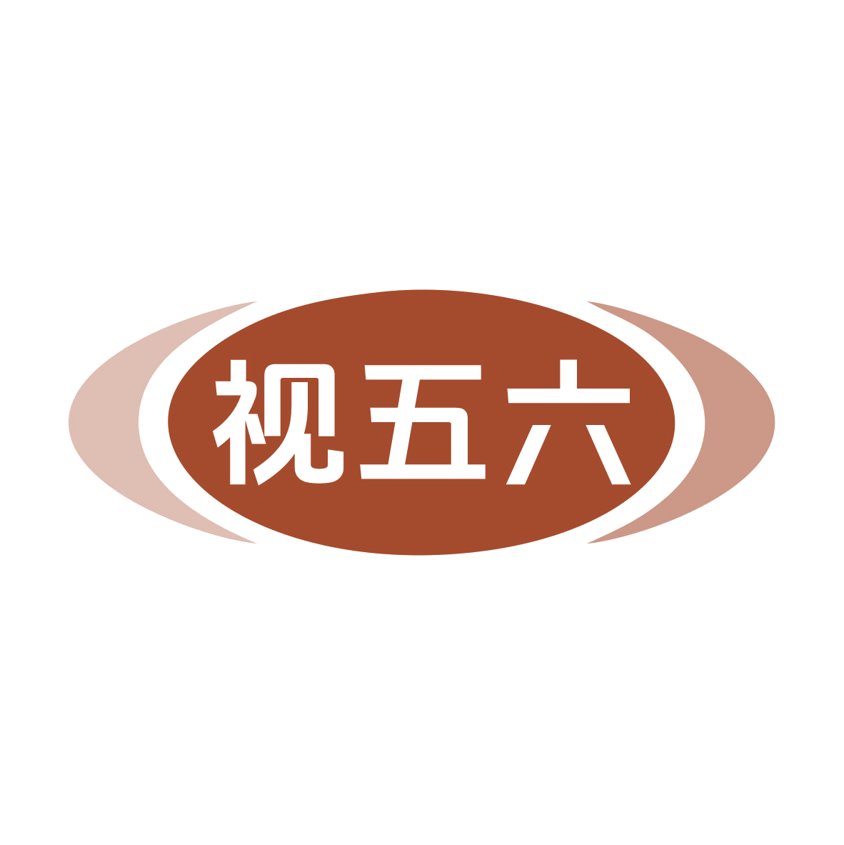 视五六 第10类医疗器械 注册号79820918商标图样