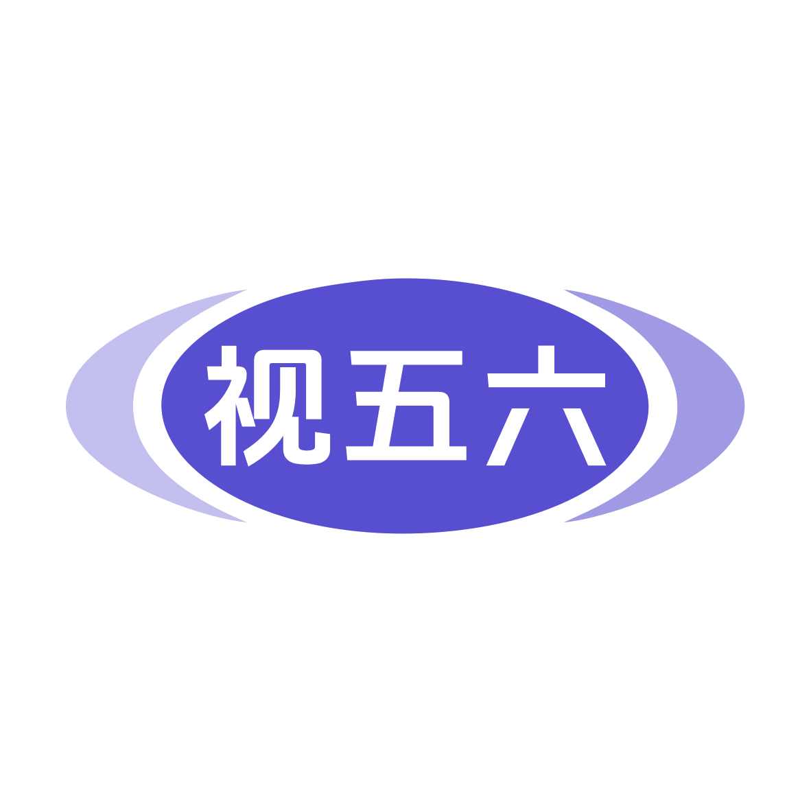 视五六 第28类健身器材 注册号79828649商标图样