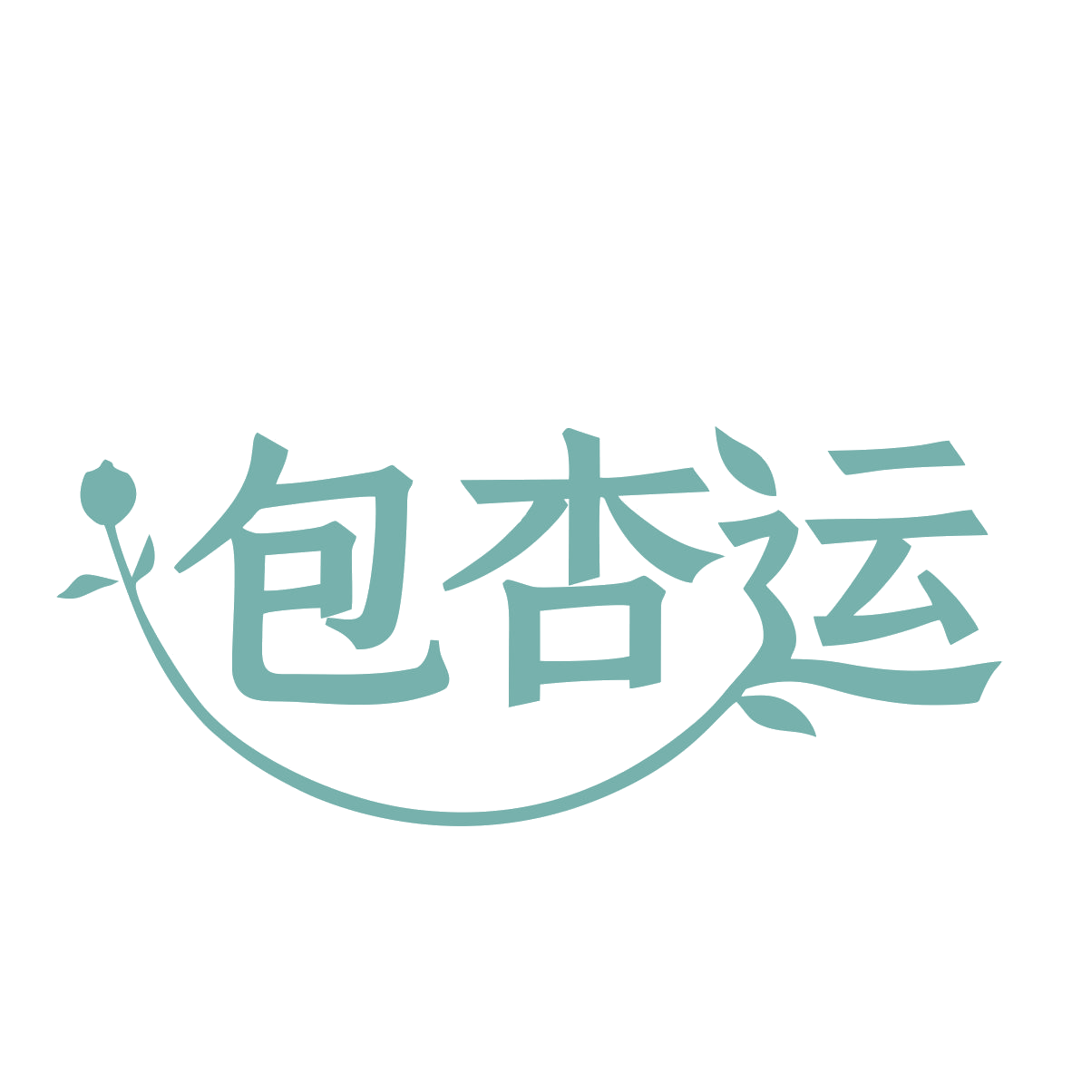 包杏运 第18类皮革皮具 注册号79919195商标图样