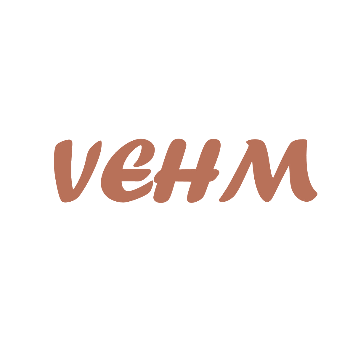 VEHM 第10类医疗器械 注册号80157826商标图样