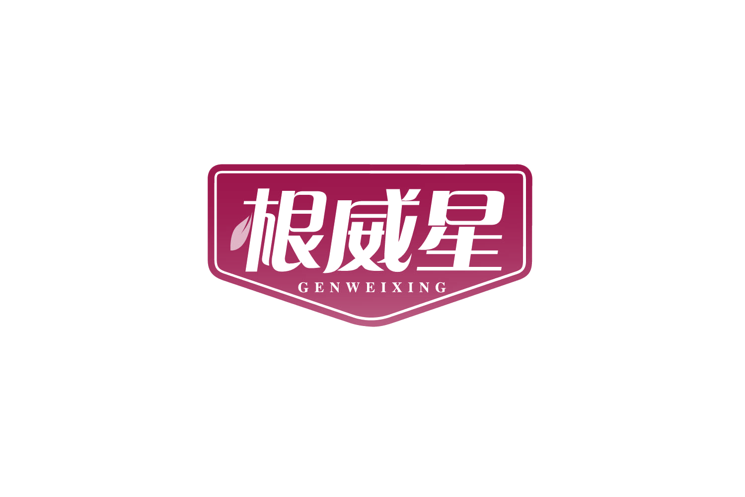 根威星 第1类化学原料 注册号80353295商标图样