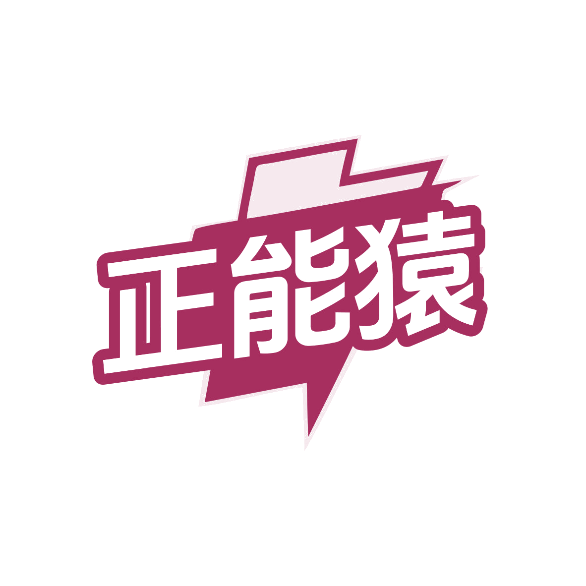 正能猿 第9类科学仪器 注册号80427392商标图样