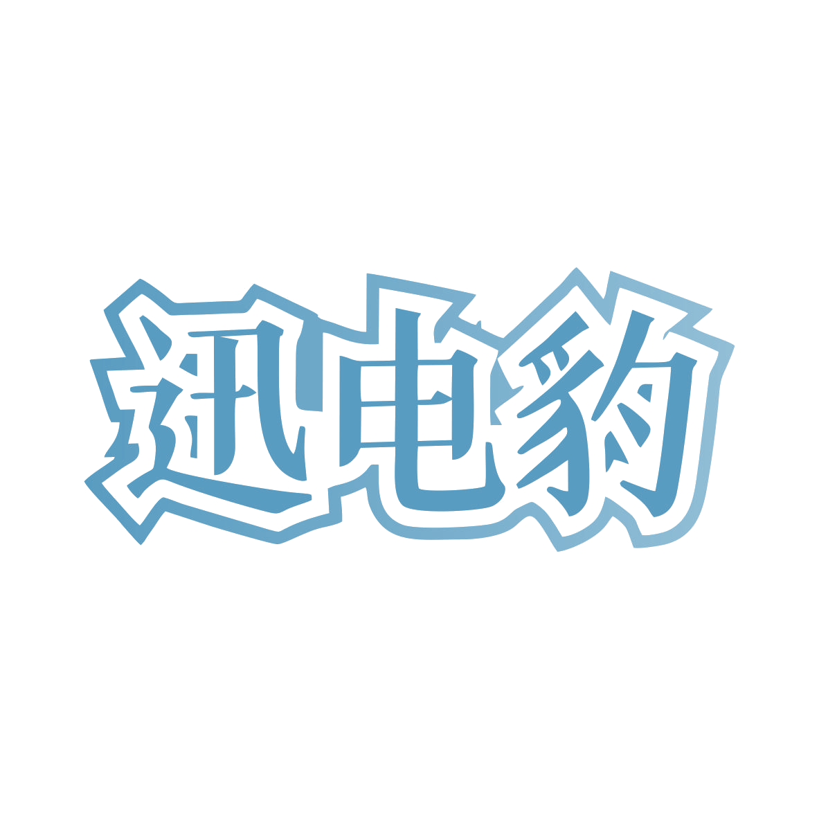 迅电豹 第9类科学仪器 注册号80527593商标图样
