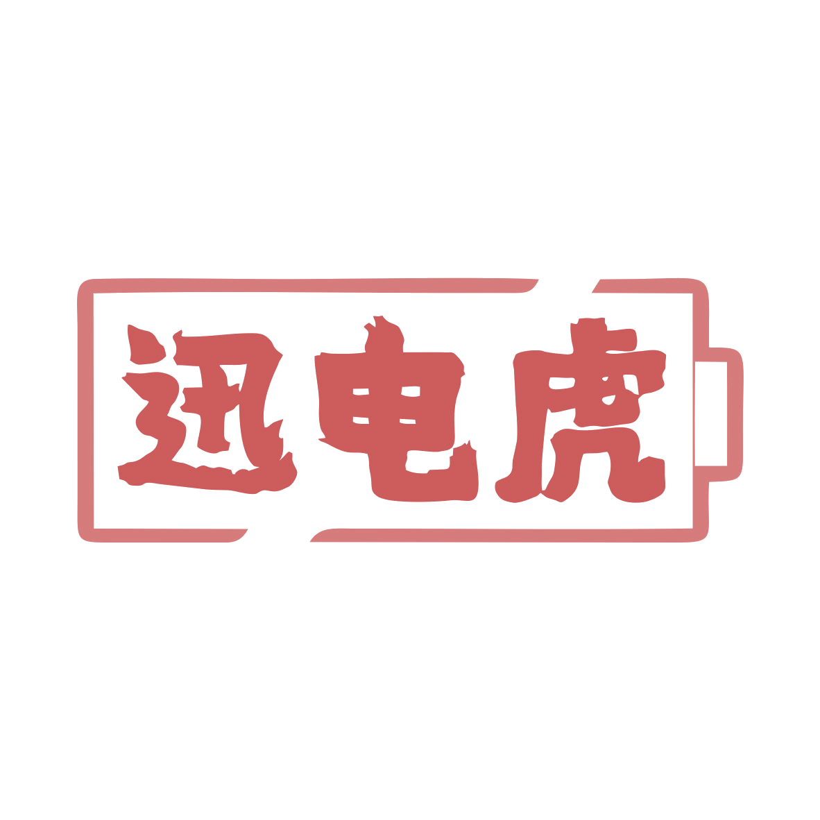 迅电虎 第9类科学仪器 注册号80527596商标图样