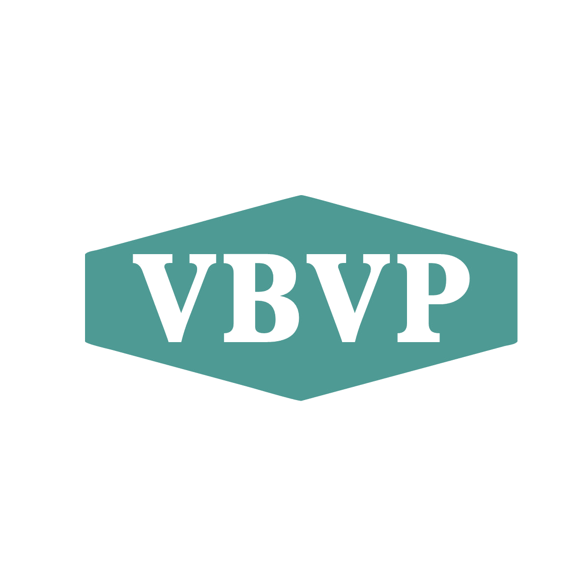 VBVP 第9类科学仪器 注册号80534490商标图样