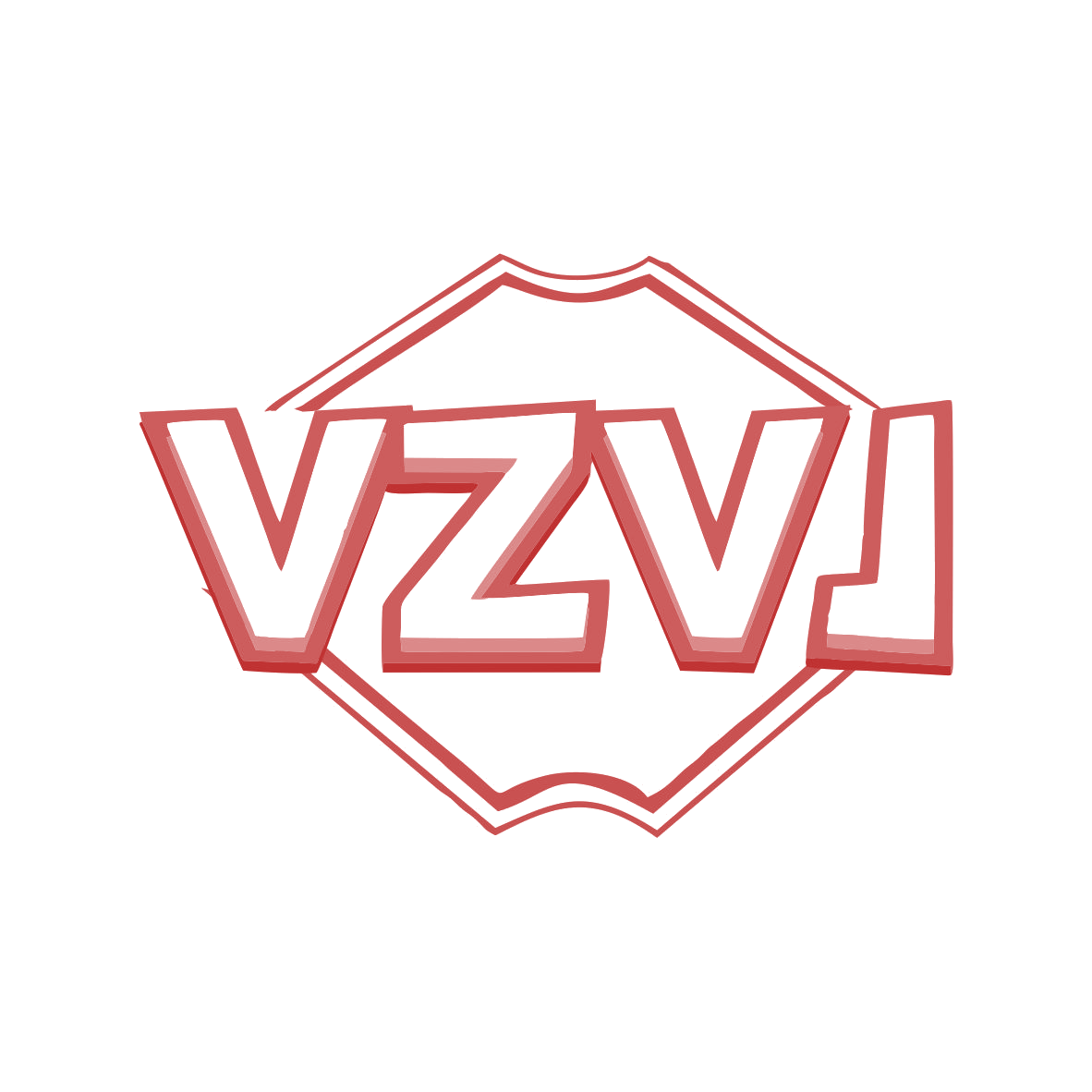 VZVJ 第9类科学仪器 注册号80539216商标图样