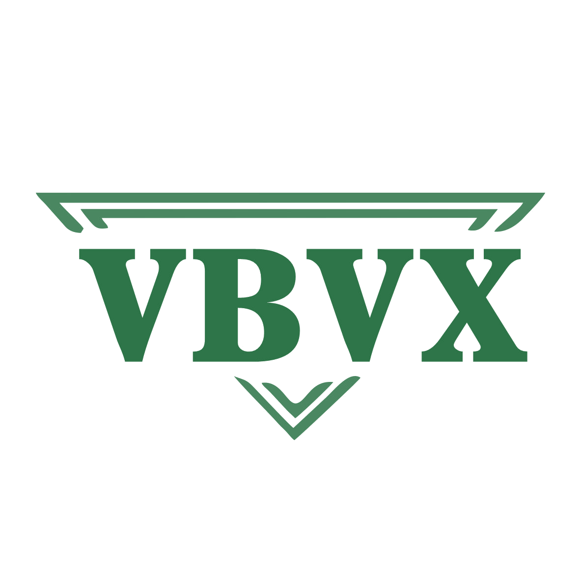 VBVX 第9类科学仪器 注册号80542017商标图样