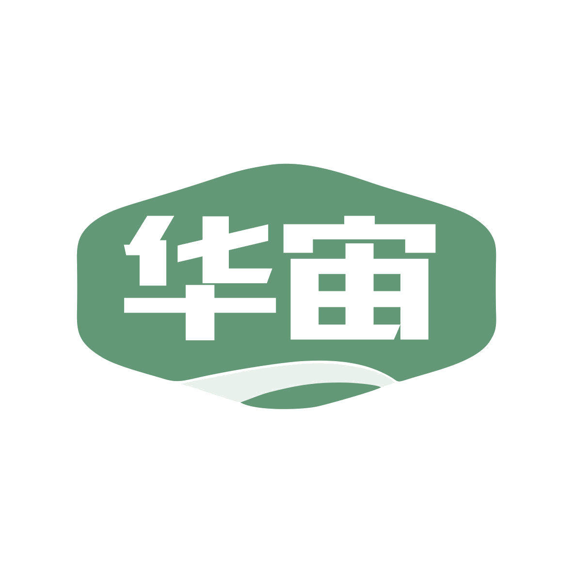 华宙 第5类医药 注册号81039937商标图样