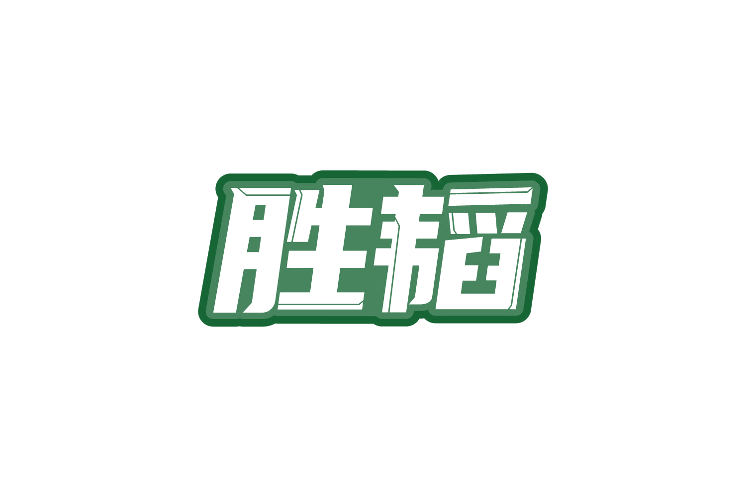 胜韬 第9类科学仪器 注册号81113750商标图样