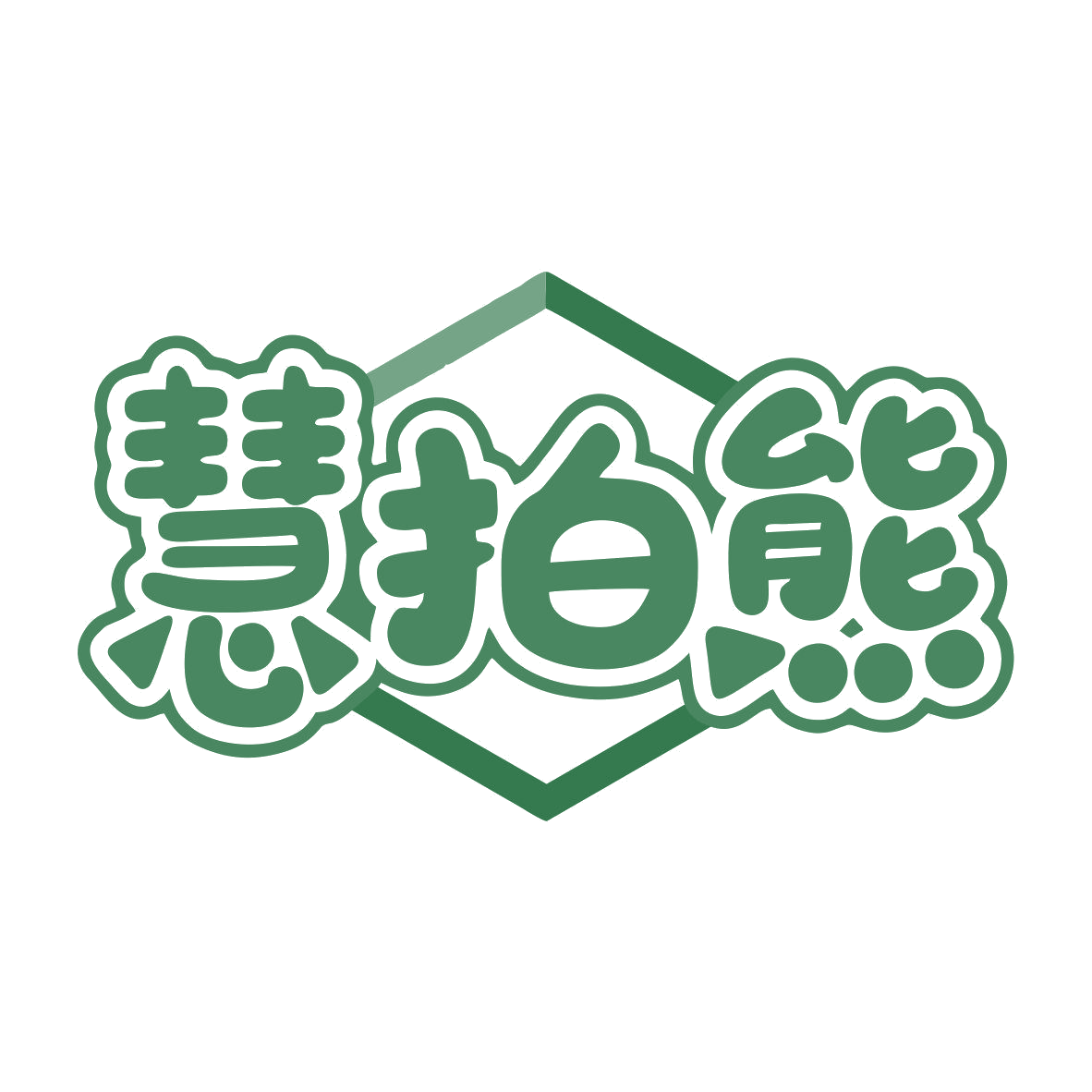 慧拍熊 第9类科学仪器 注册号81138049商标图样