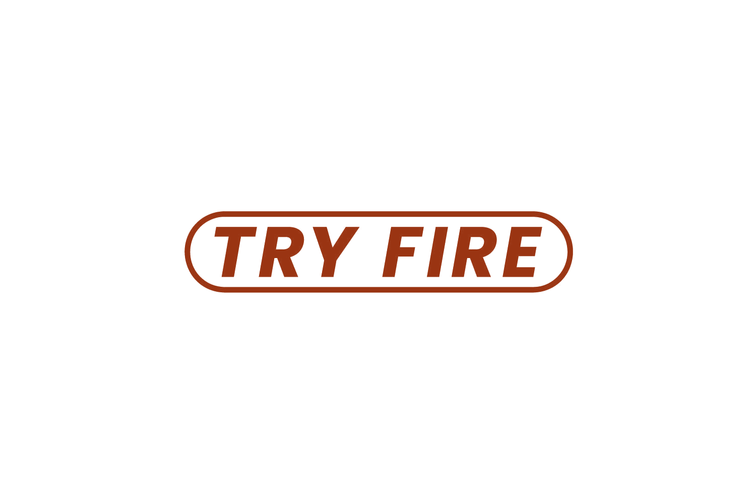 TRY FIRE 第3类日化用品 注册号81178449商标图样