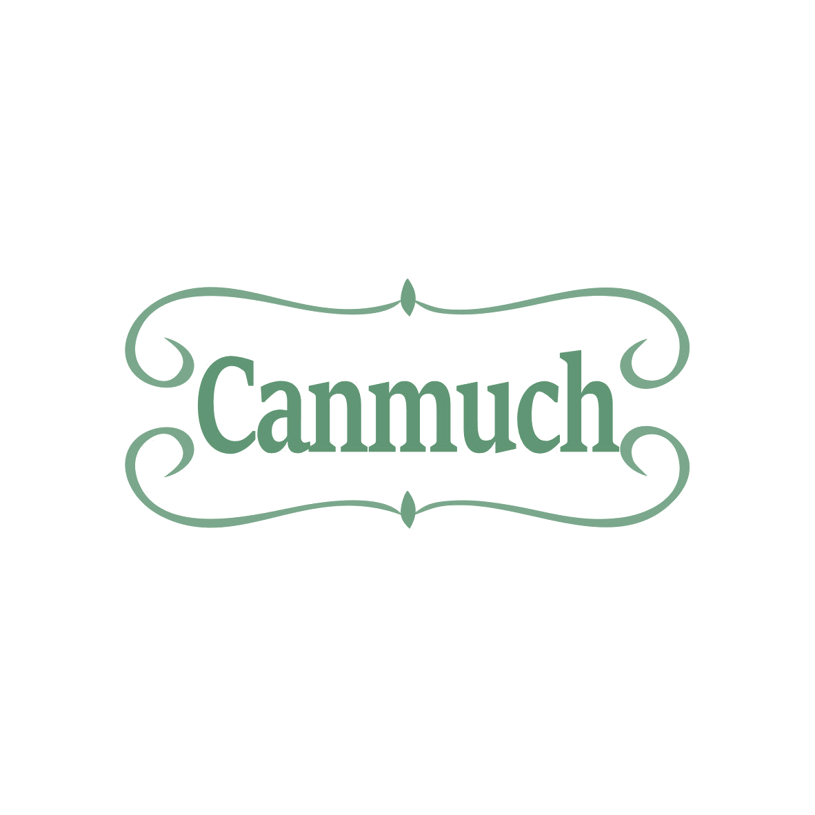 CANMUCH 第5类医药 注册号81345198商标图样