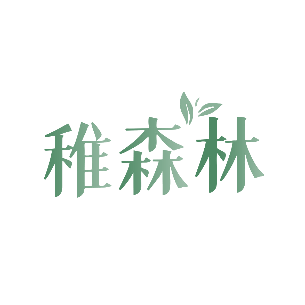 稚森林 第3类日化用品 注册号81364774商标图样