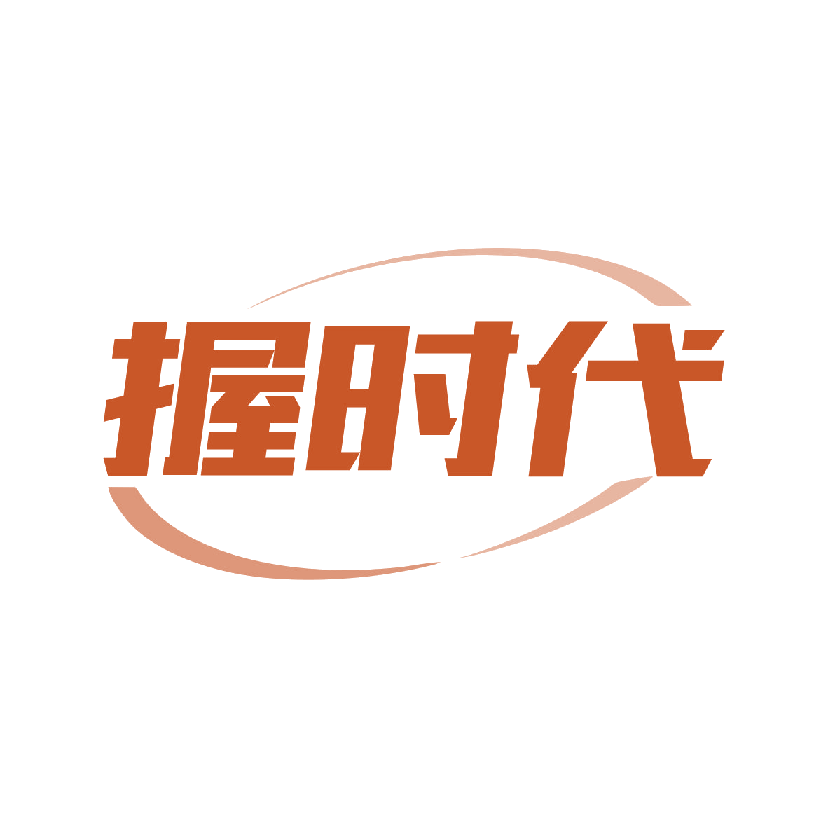 握时代 第9类科学仪器 注册号81385598商标图样