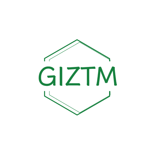 GIZTM 第25类服装鞋帽 注册号81414117商标图样