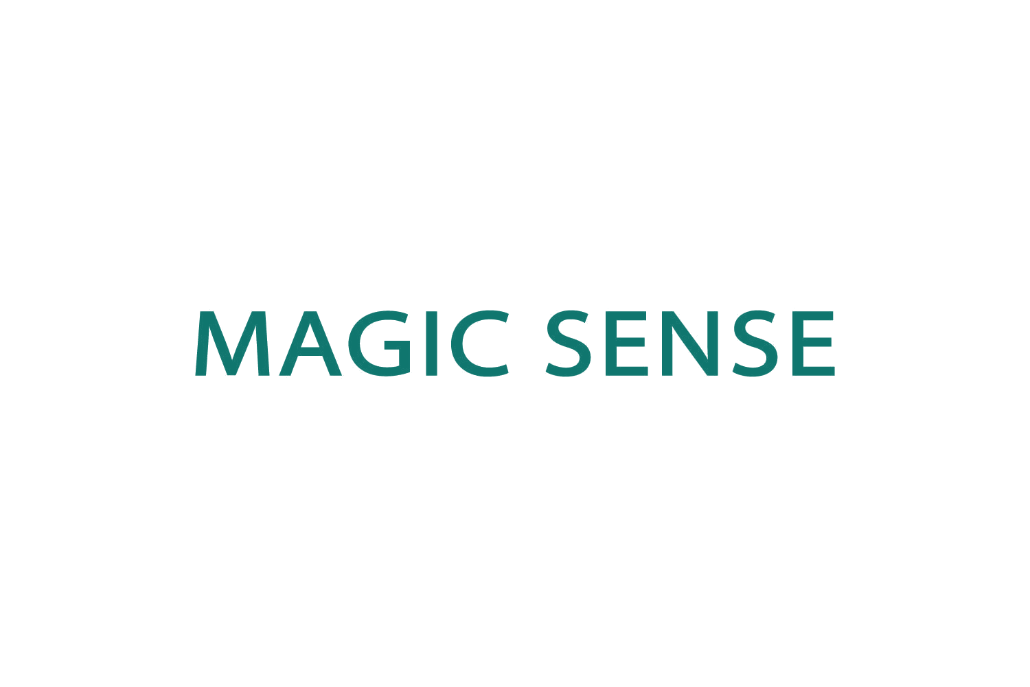MAGIC SENSE 第28类健身器材 注册号81805265商标图样