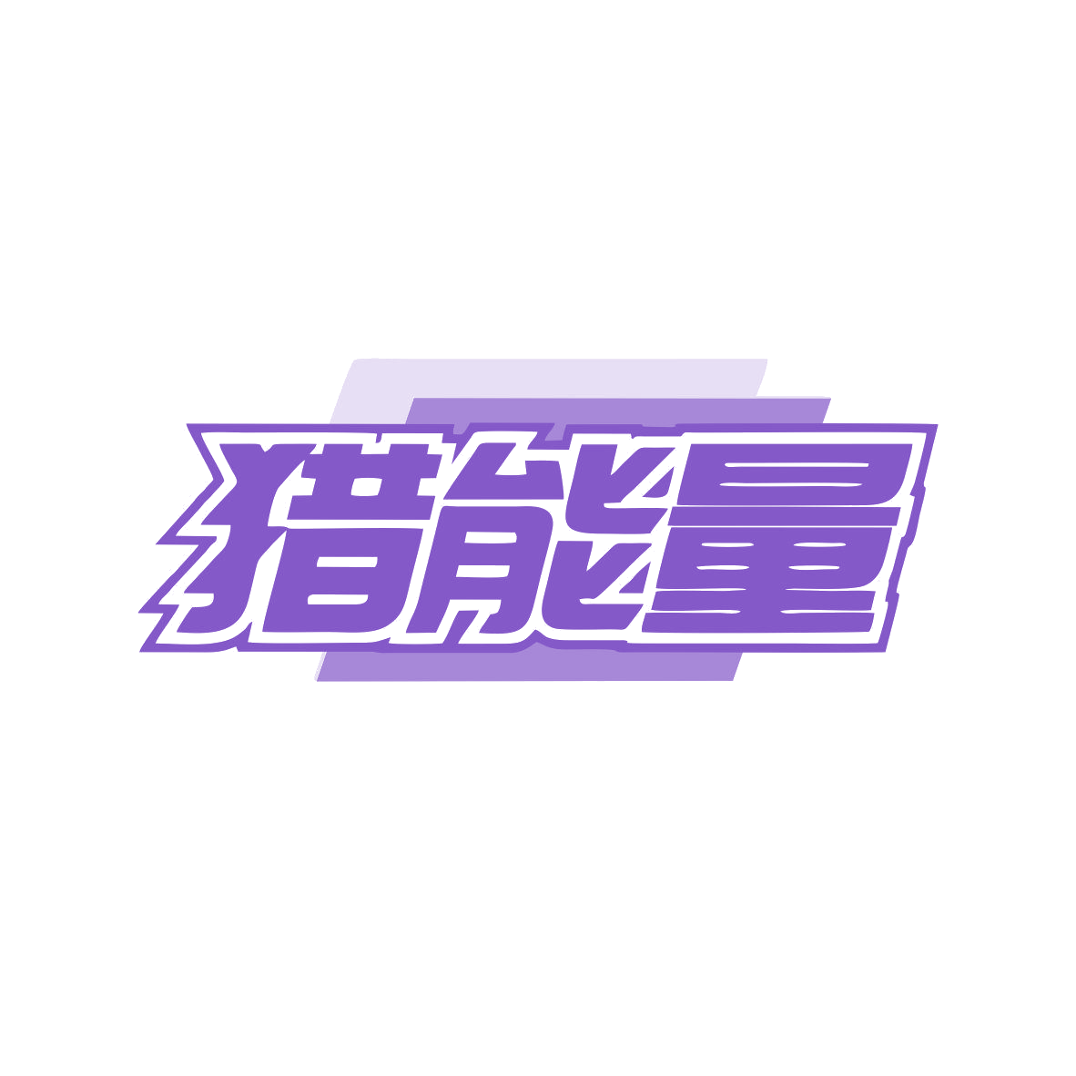 猎能量 第9类科学仪器 注册号81982950商标图样