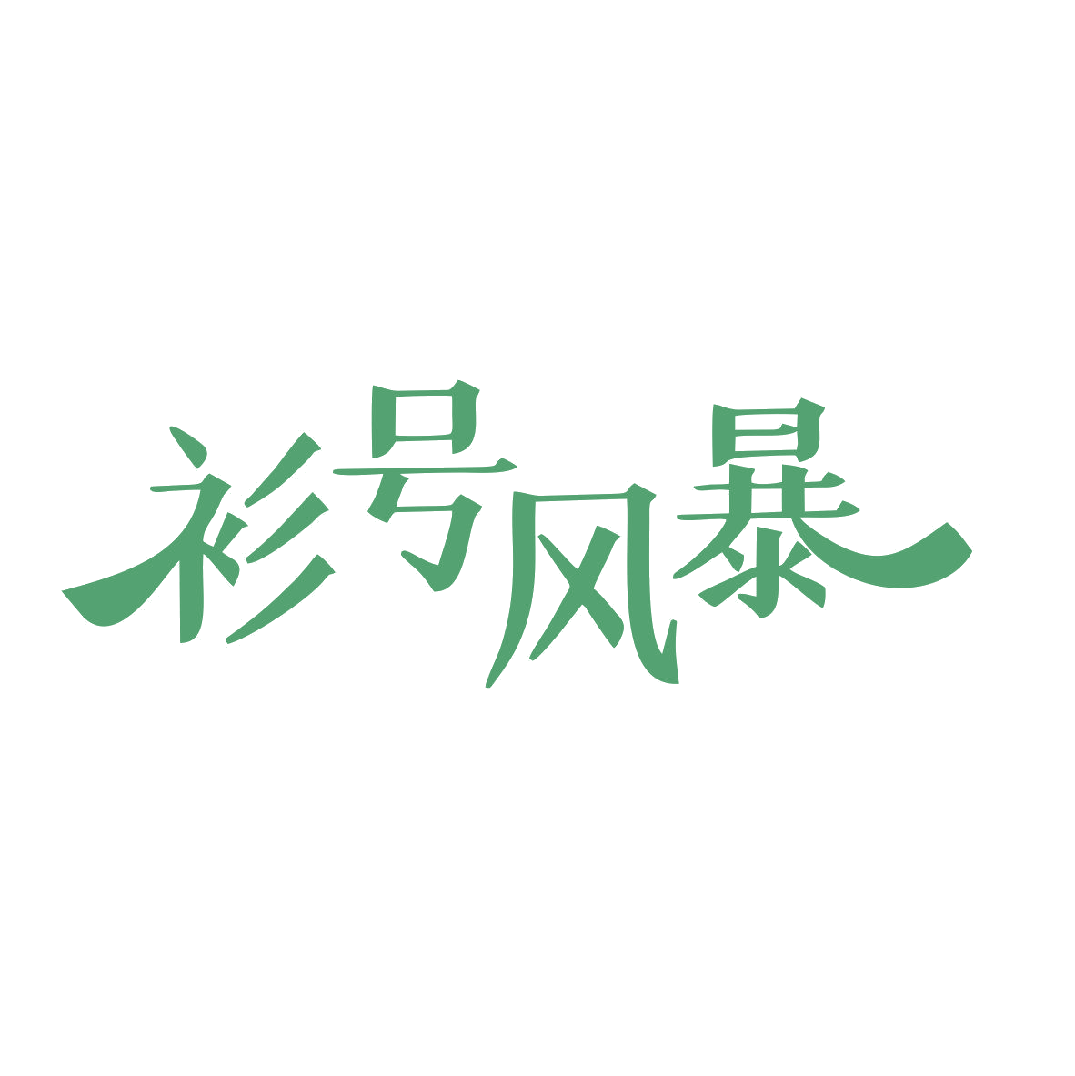 衫号风暴 第35类广告销售 注册号81988701商标图样