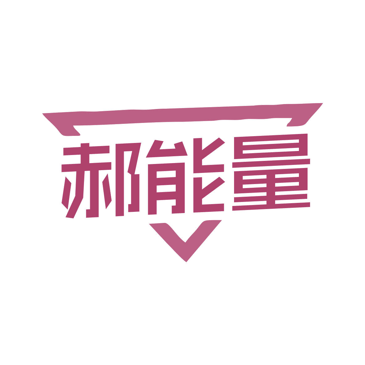 郝能量 第9类科学仪器 注册号81990592商标图样