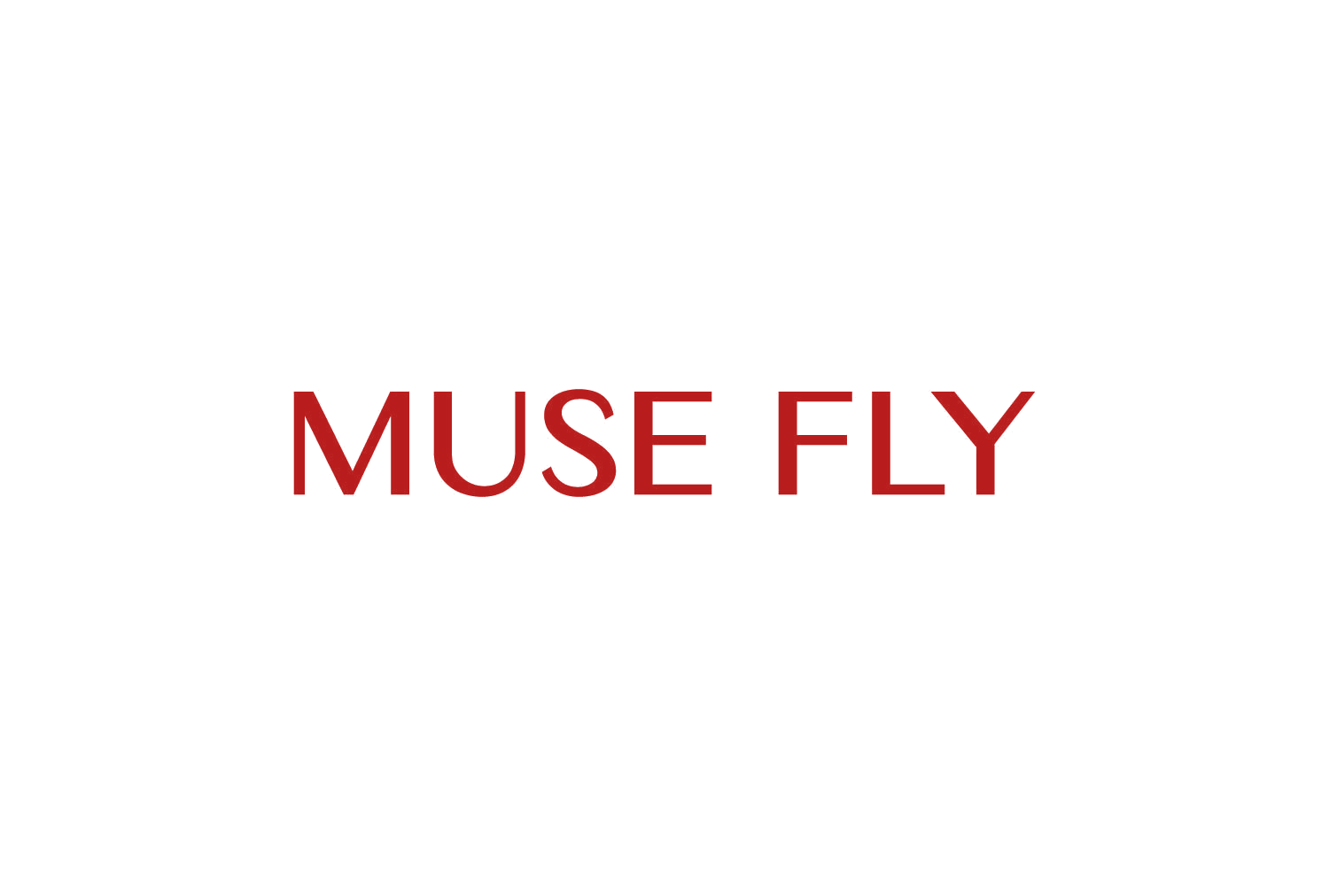 MUSE FLY 第3类日化用品 注册号82001721商标图样