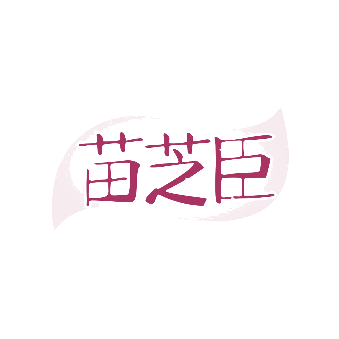 苗芝臣 第10类医疗器械 注册号82338424商标图样