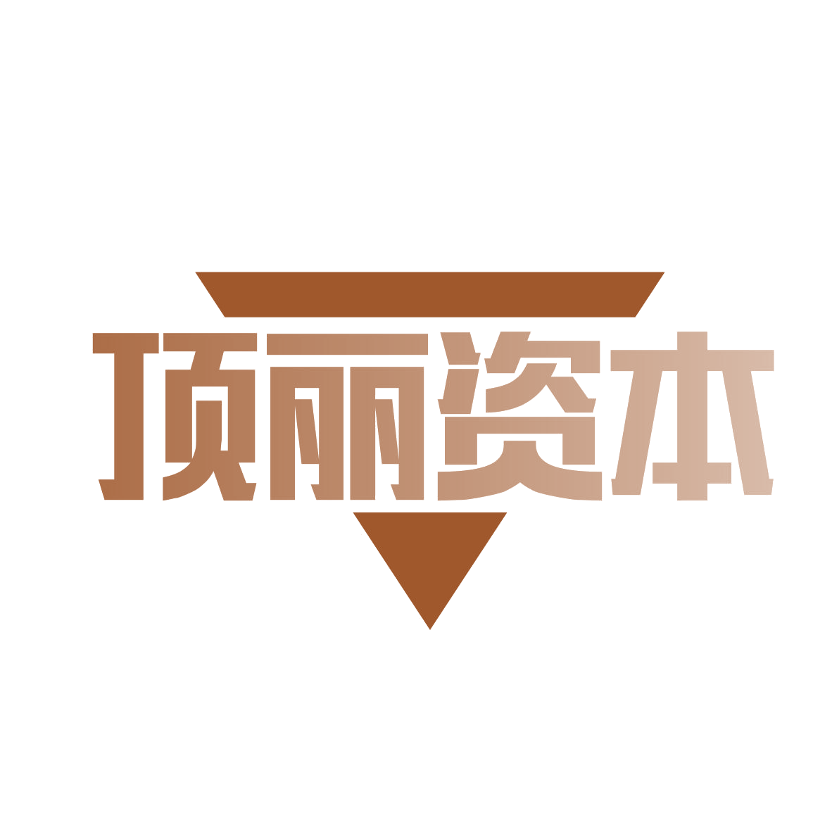 顶丽资本 第36类金融物管 注册号82497819商标图样