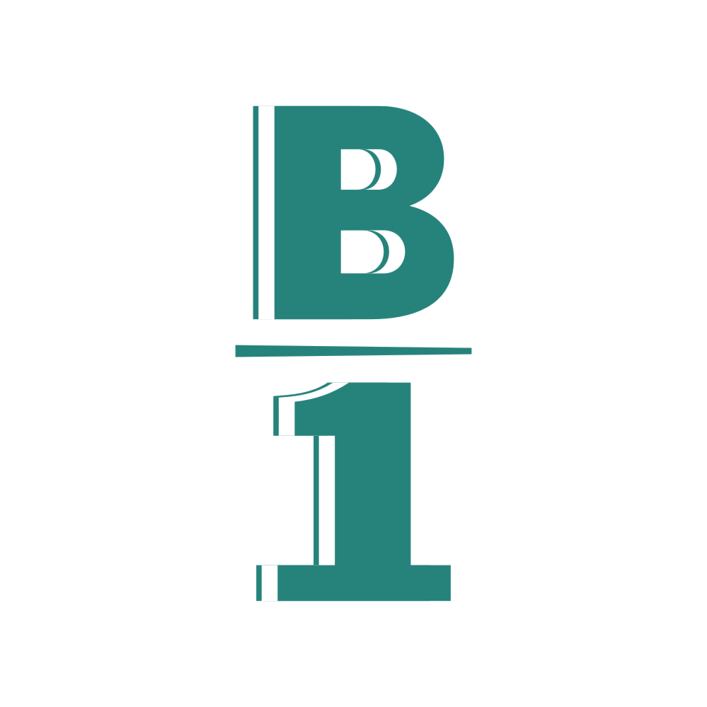 B 1 第25类服装鞋帽 注册号83222487商标图样