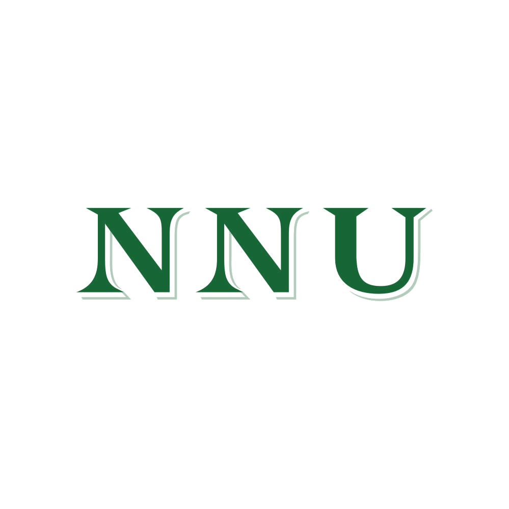 NNU 第20类家具 注册号83248980商标图样
