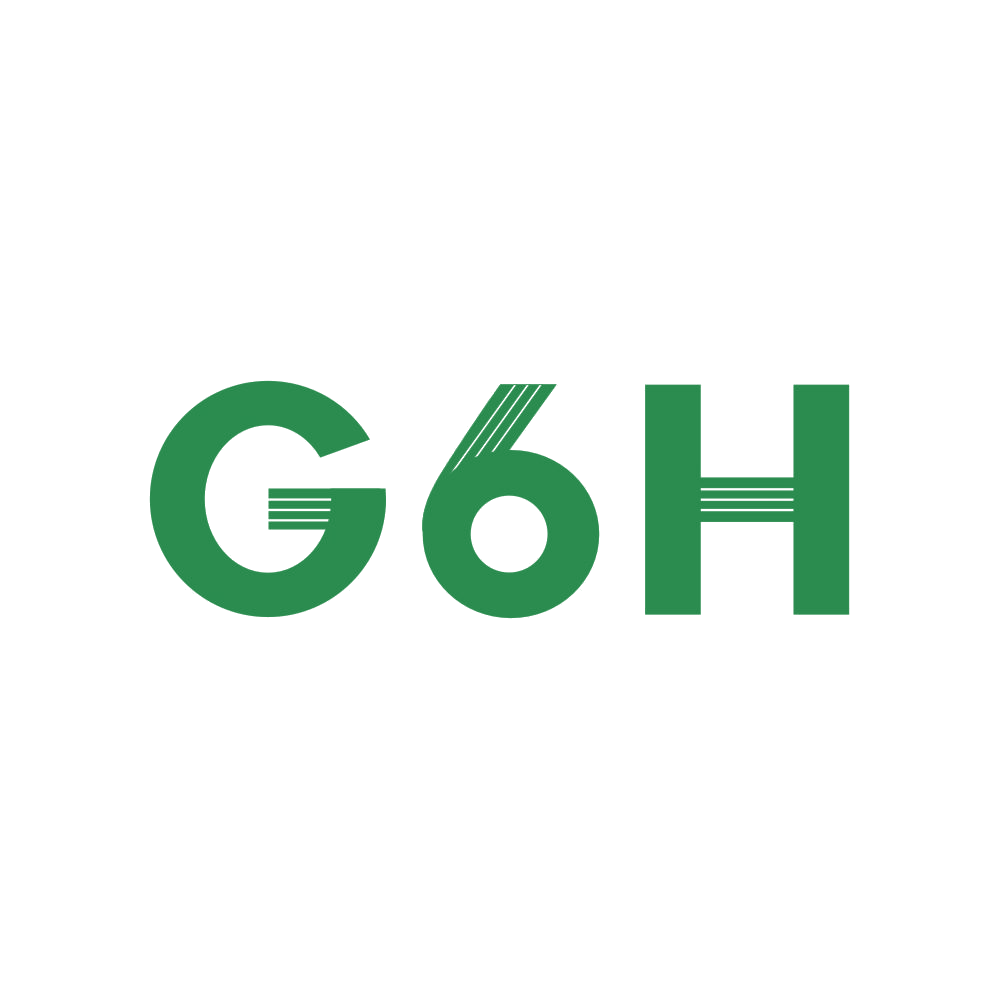 G6H 第25类服装鞋帽 注册号83376523商标图样