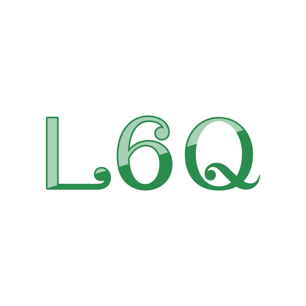 L6Q 第25类服装鞋帽 注册号83402655商标图样