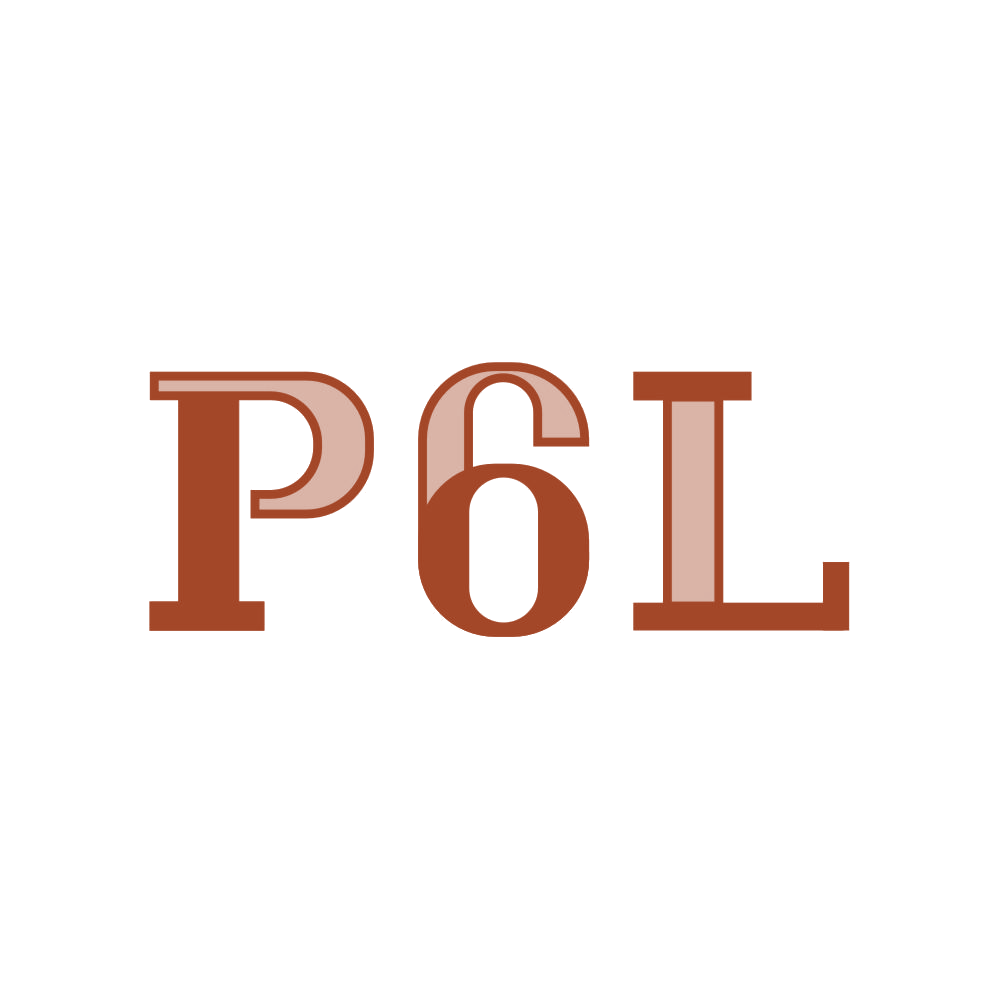 P6L 第14类珠宝钟表 注册号83461041商标图样
