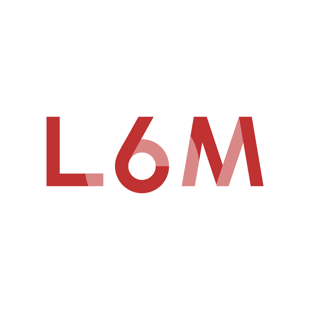 L6M 第25类服装鞋帽 注册号83536742商标图样