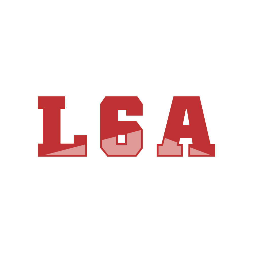 L6A 第25类服装鞋帽 注册号83542320商标图样
