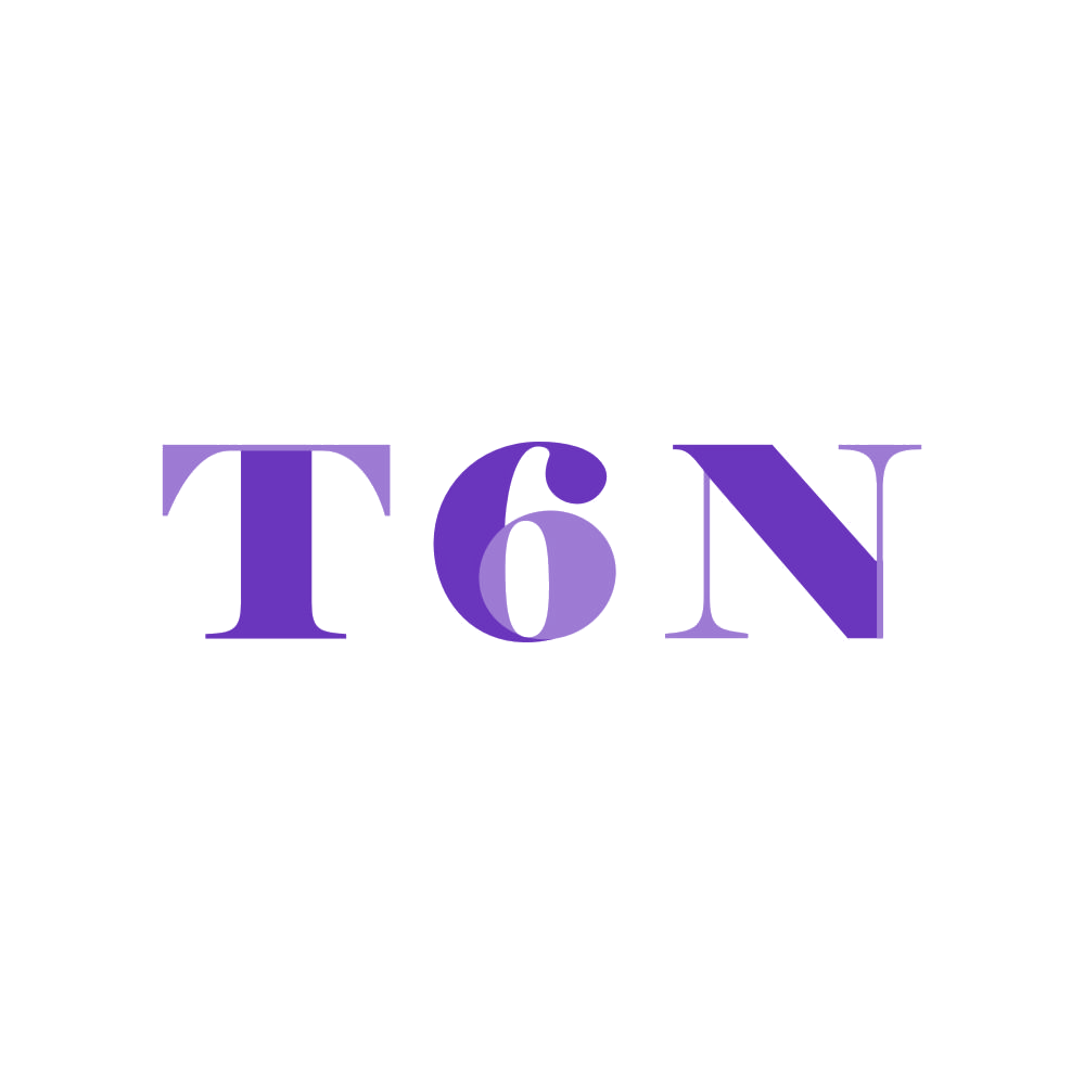 T6N 第25类服装鞋帽 注册号83596630商标图样