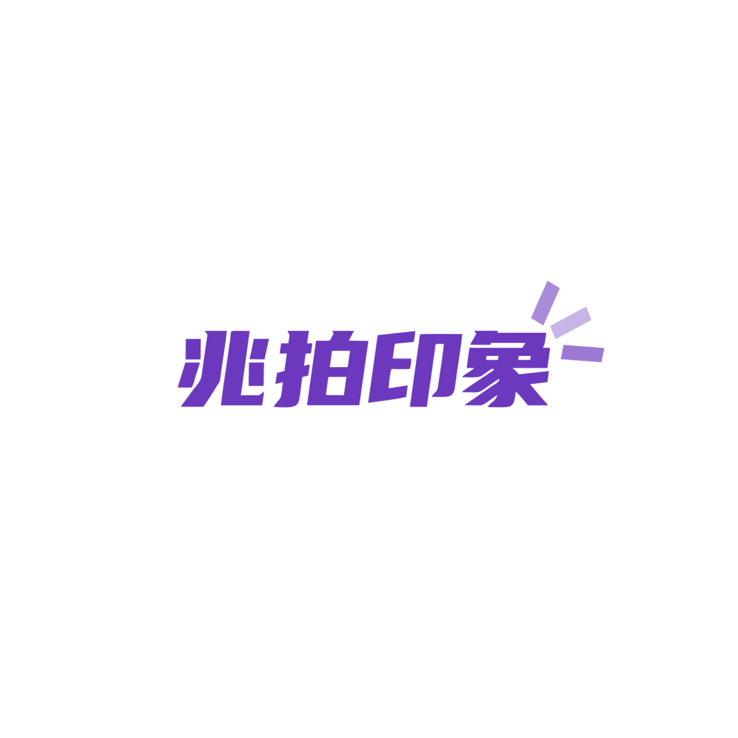 兆拍印象 第9类科学仪器 注册号83848671商标图样