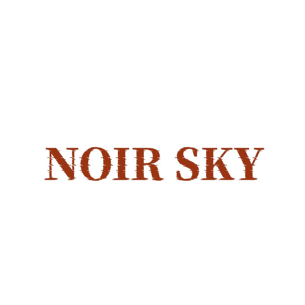 NOIR SKY 第25类服装鞋帽 注册号83912101商标图样