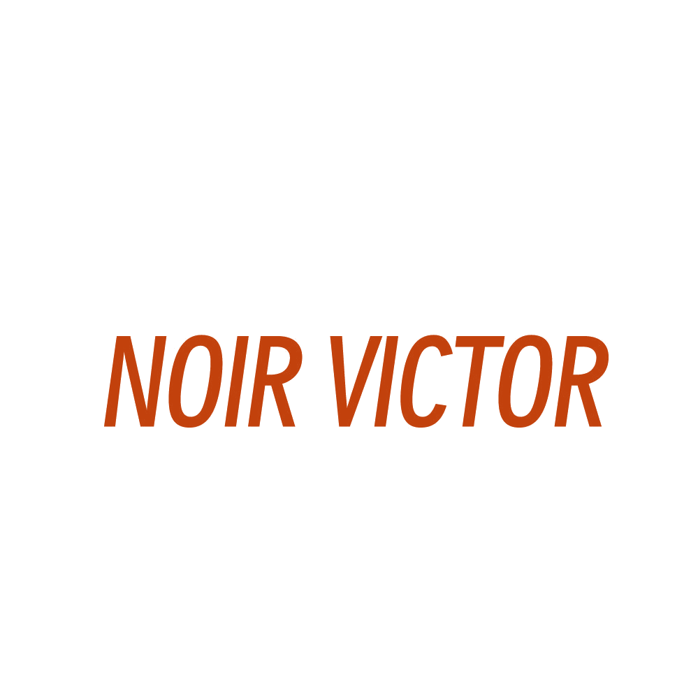 NOIR VICTOR 第25类服装鞋帽 注册号84114265商标图样