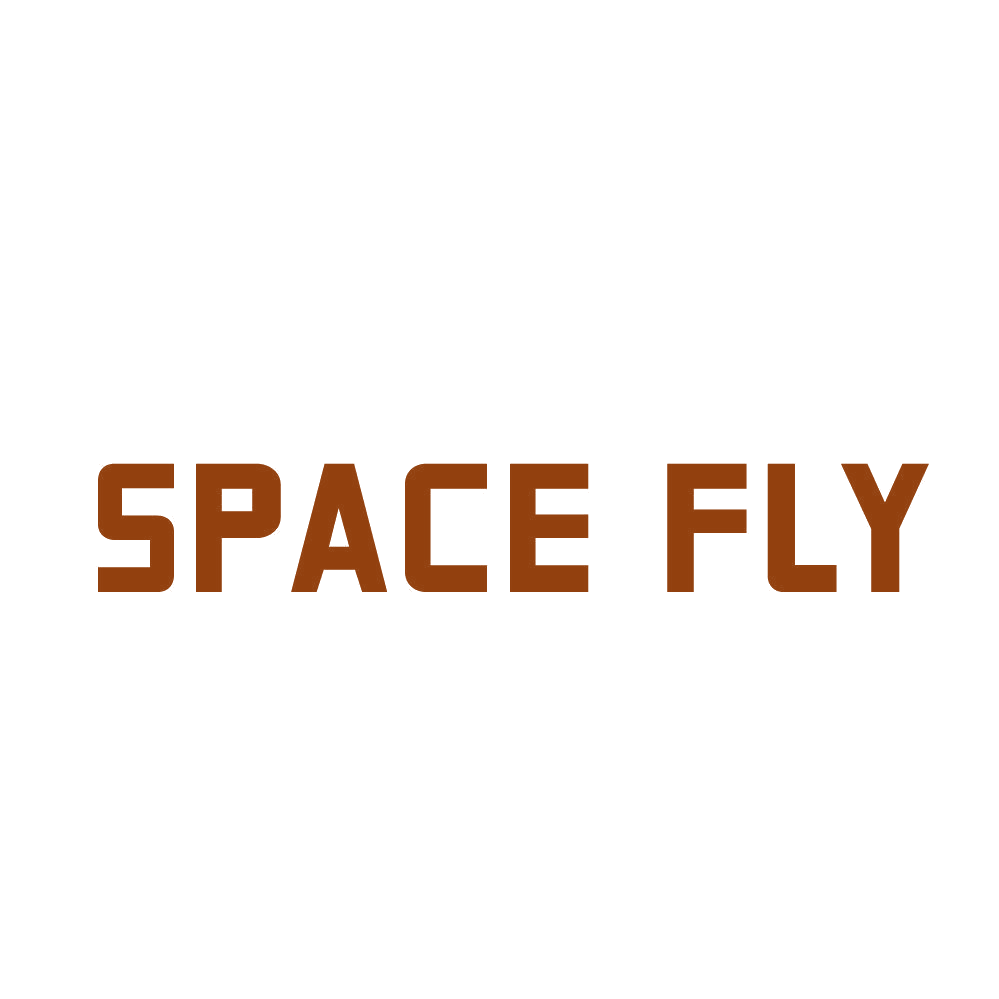 SPACE FLY 第25类服装鞋帽 注册号84229308商标图样